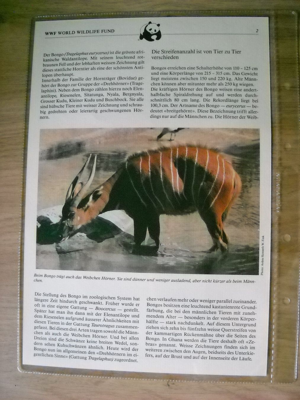 Tutti i francobolli: WWF Der Bongo Sammlung Seite mit Briefmarken – Nuovo (secondo la descrizione) da Boningen venduto da FrediP 1