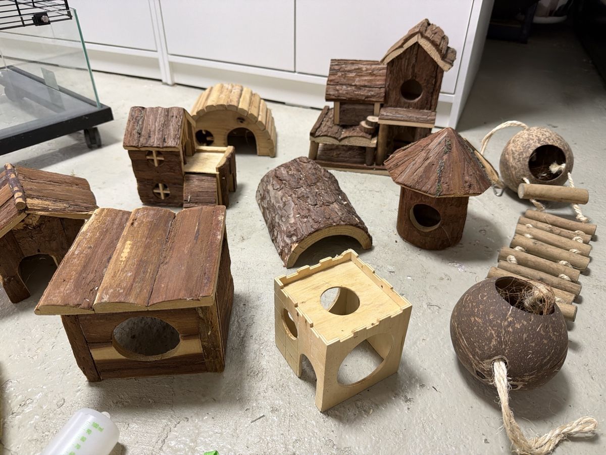 Käfige, Transport & Sicherheit: Cage pour rongeurs et accessoires en bois – Gebraucht aus Biel/Bienne von Niklasson 1