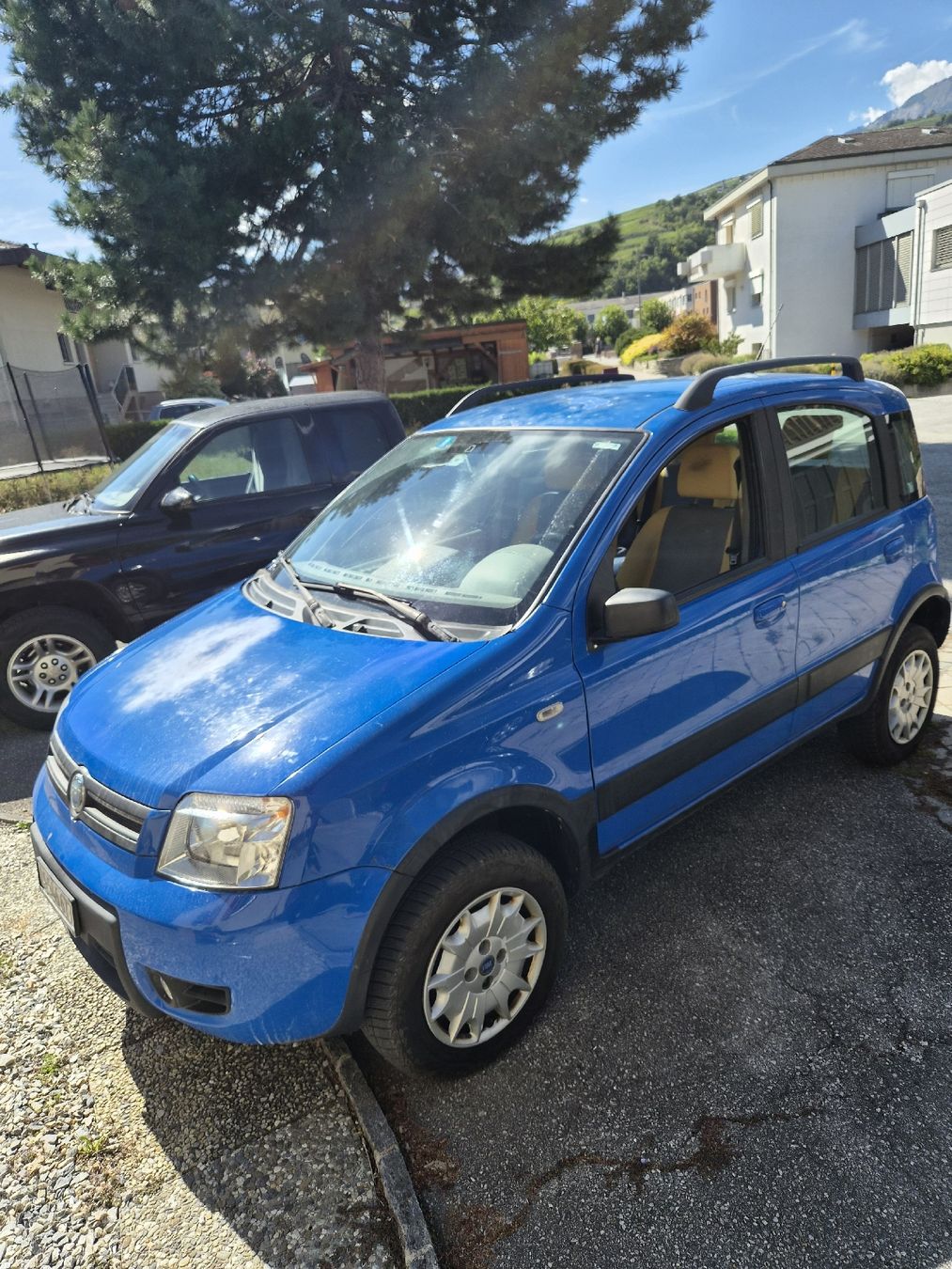 Fiat Automobili: Fiat Panda 4x4 Diesel – Usato da St-Léonard venduto da antdim88