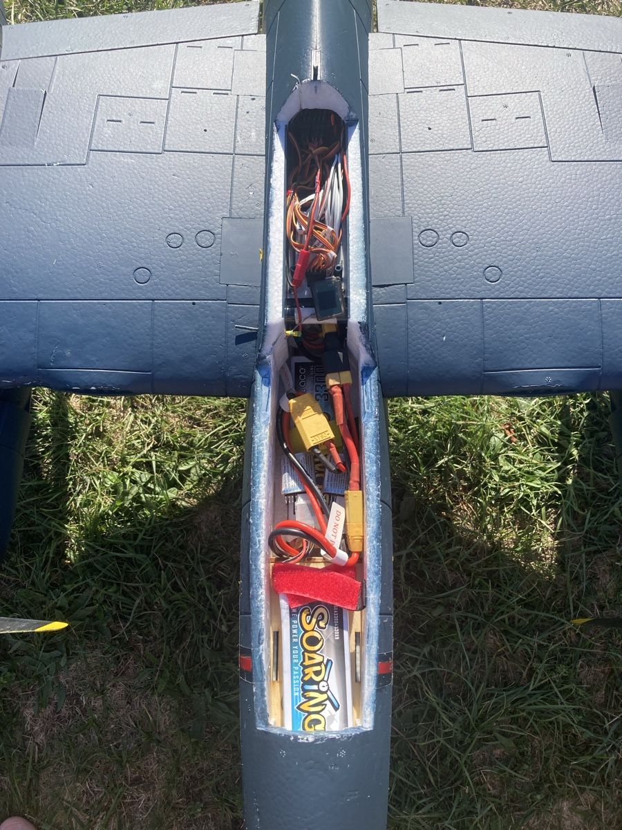 Modellismo RC: RC Flugmodell Grummen Tiger Cat – Usato da Belp venduto da Cikarus 2