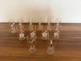 12 Rare Schnapsgläser / Shotgläser  mit Glasfrucht Vintage