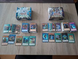 Yu-Gi-Oh! DAMA & POTE Karten Collection!