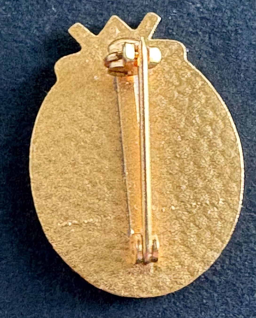 Placchette & Badge: ANSTECKNADEL SAC GOLDFARBIG – Usato da Ostermundigen venduto da Wyatt-Earp 1