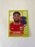 Panini FIFA WM 2026 Sticker - PAN 15