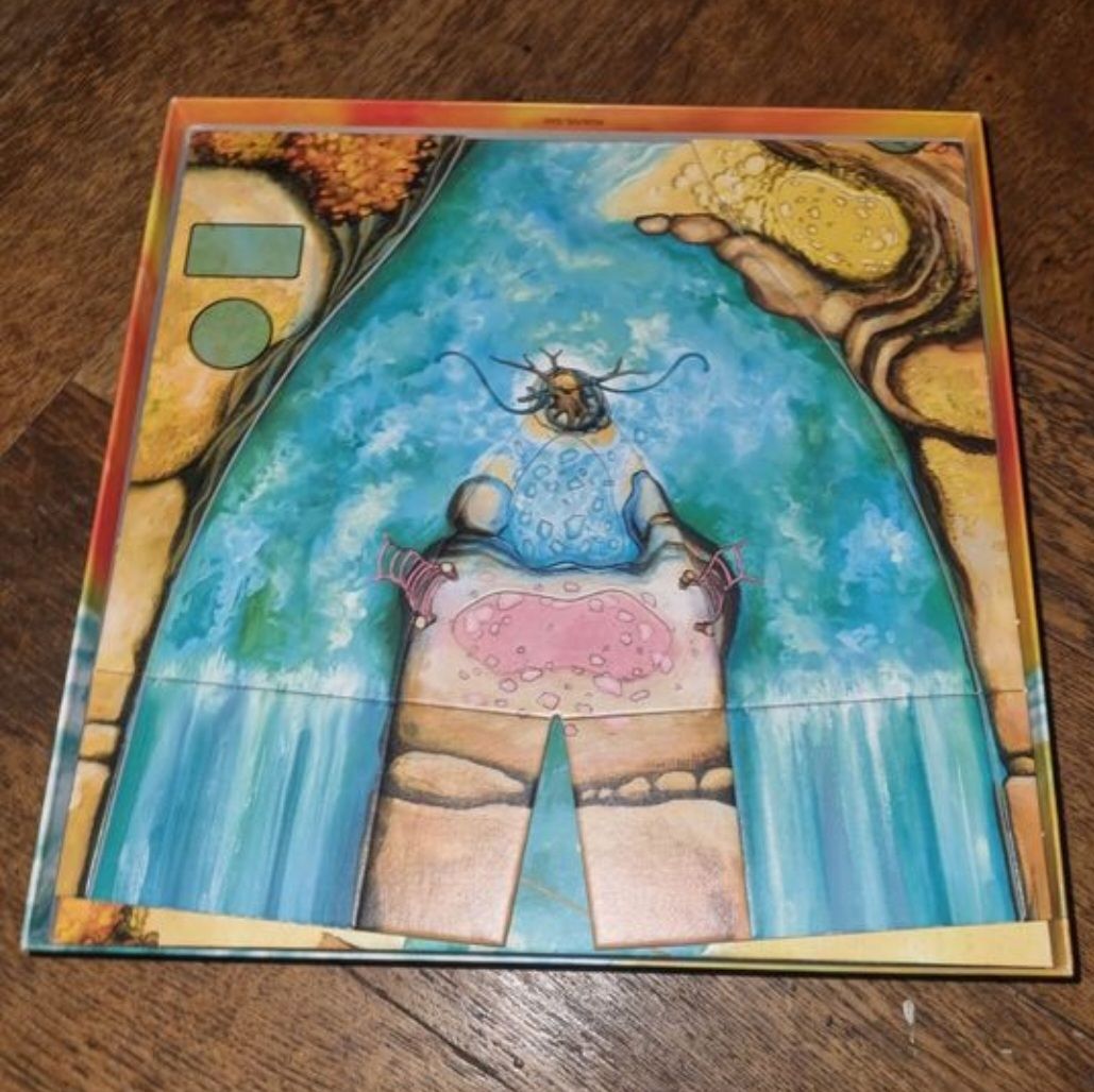 Giochi: Jeu de société Niagara de Gigamic – Usato da Fribourg venduto da jarmilka 4