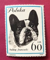 Briefmarken aus Polen Hunde UNGESTEMPELT