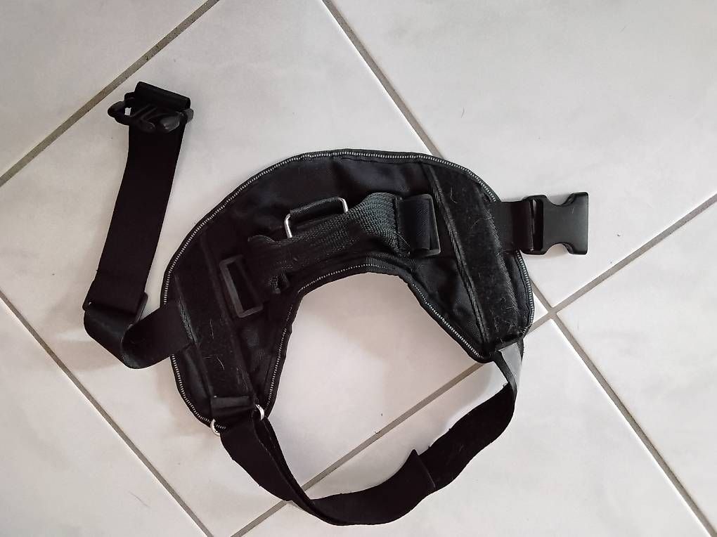Guinzagli & Collari: Julius-K9 Hundegeschirr – Usato da Zuzgen venduto da kuschelsabine