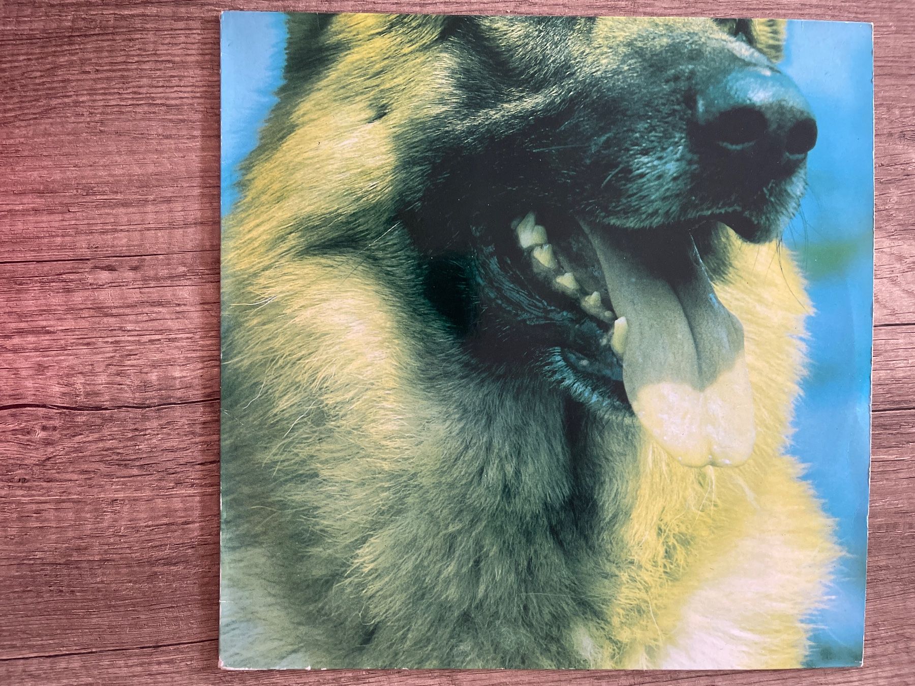 Dischi in vinile: A472/Dear Wolf - Jalousie – Usato da Frutigen venduto da Philippe_jsp