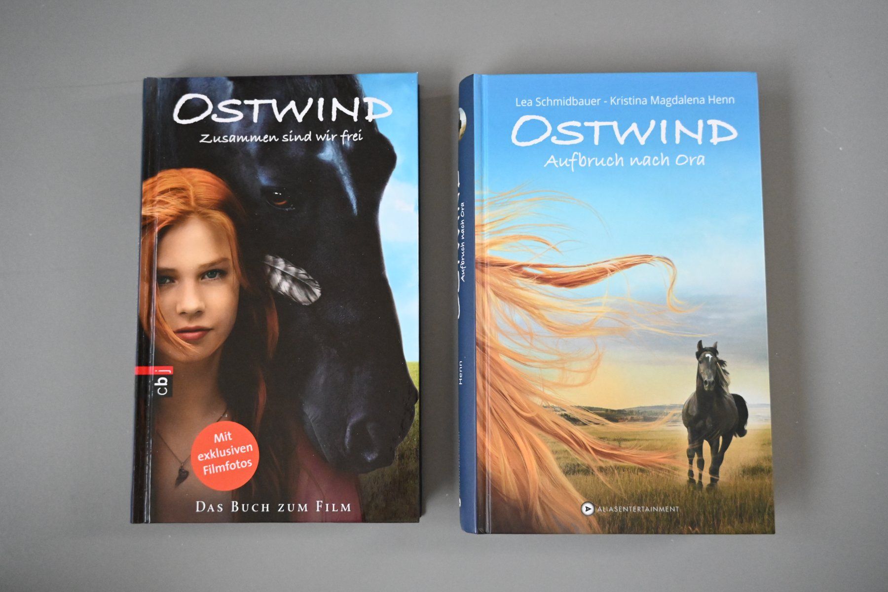 Bücher: Ostwindbücher – Gebraucht aus Dietikon von Bhelbling