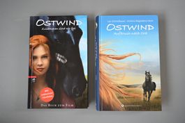 Ostwindbücher