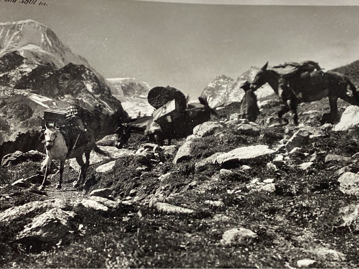 Cartes postales: Arolla les mulets de la poste – D'occasion à Luc (Ayent) par Rebouille 1