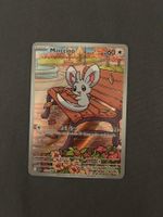 Pokémon TCG Minccino 152/068 Illustration Rare EN