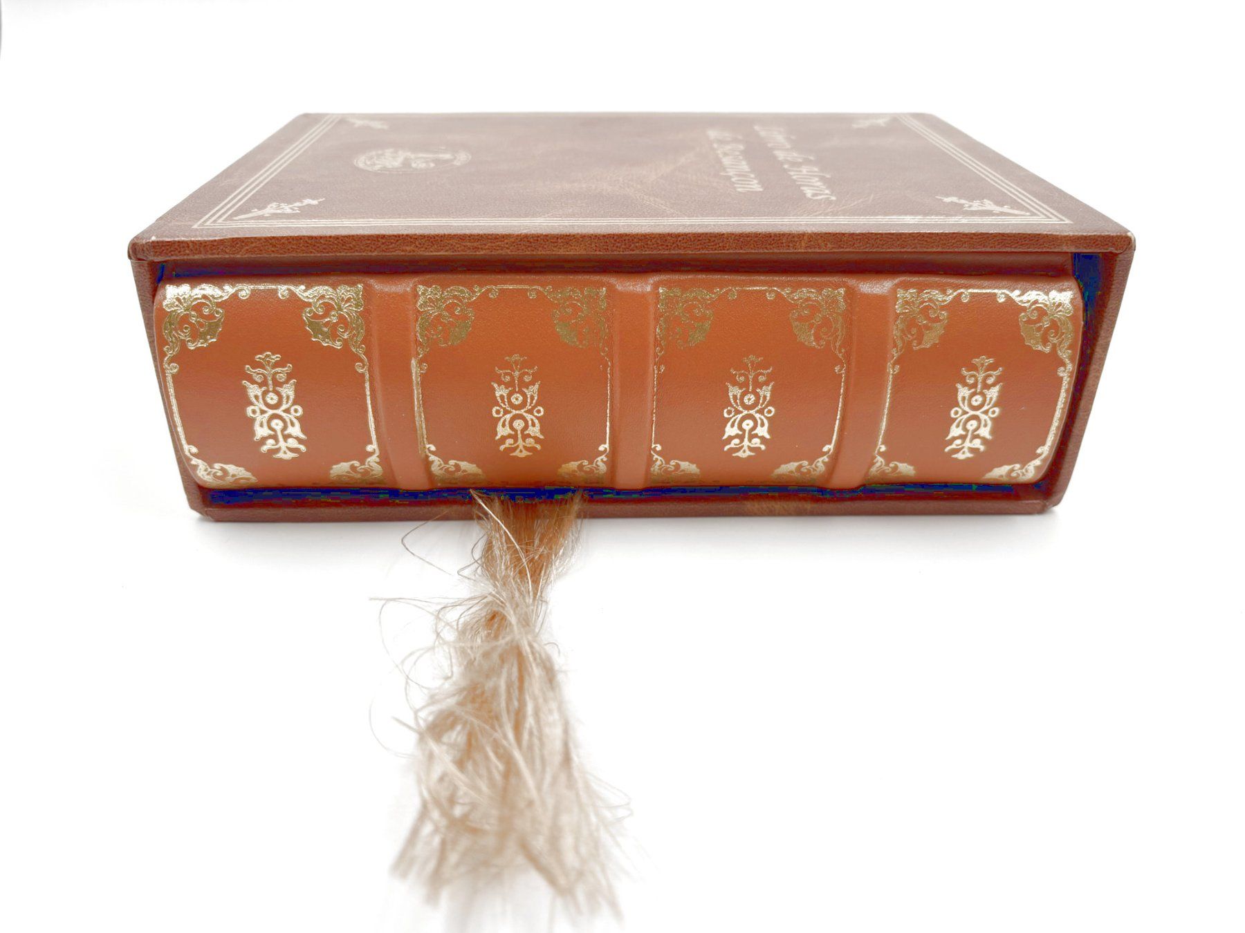 Libri: Libro de Horas de Besançon, Faksimile – Nuovo (secondo la descrizione) da Hombrechtikon venduto da Bruenel 3