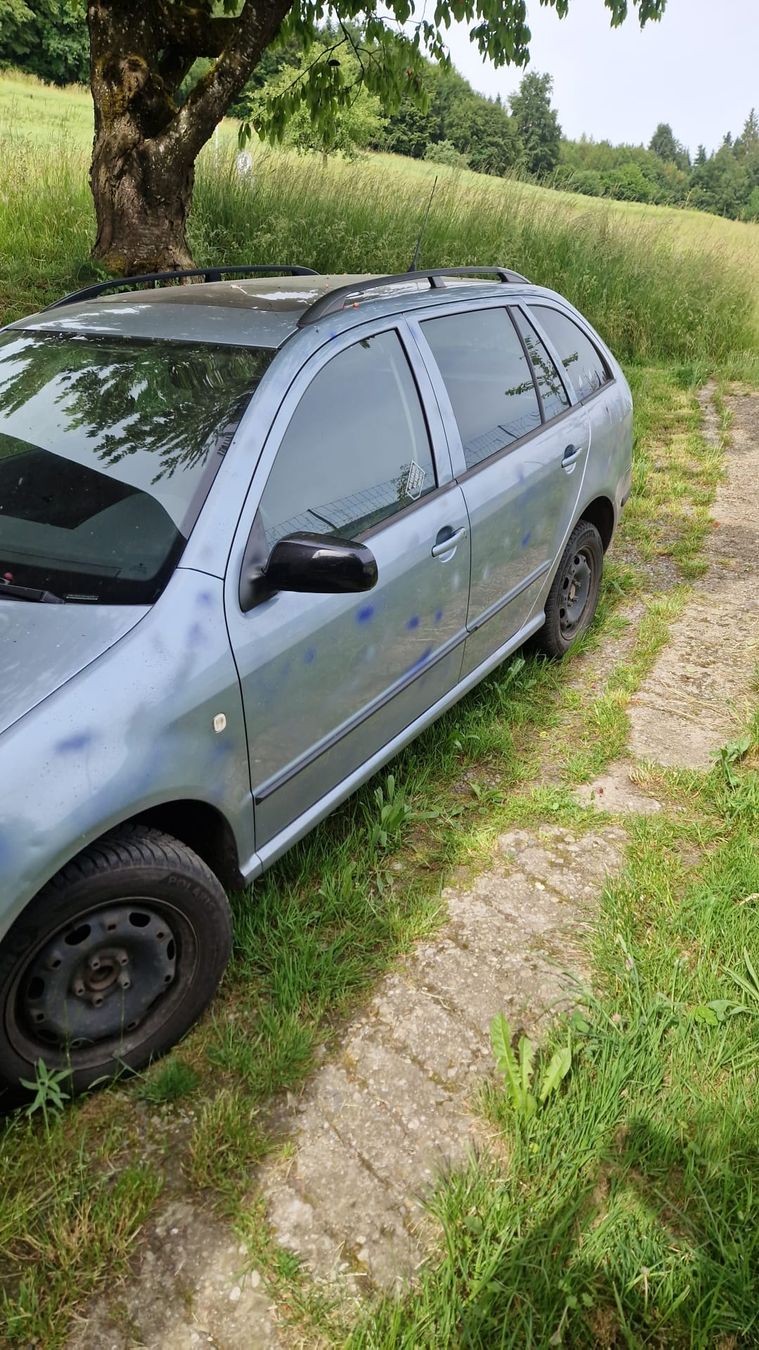 Skoda Automobili: Skoda Fabia Combi 1.9 TDi – Usato da Buchs LU venduto da Bambi97 2