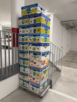 Bananenschachteln 19 Stück, perfekter Zustand