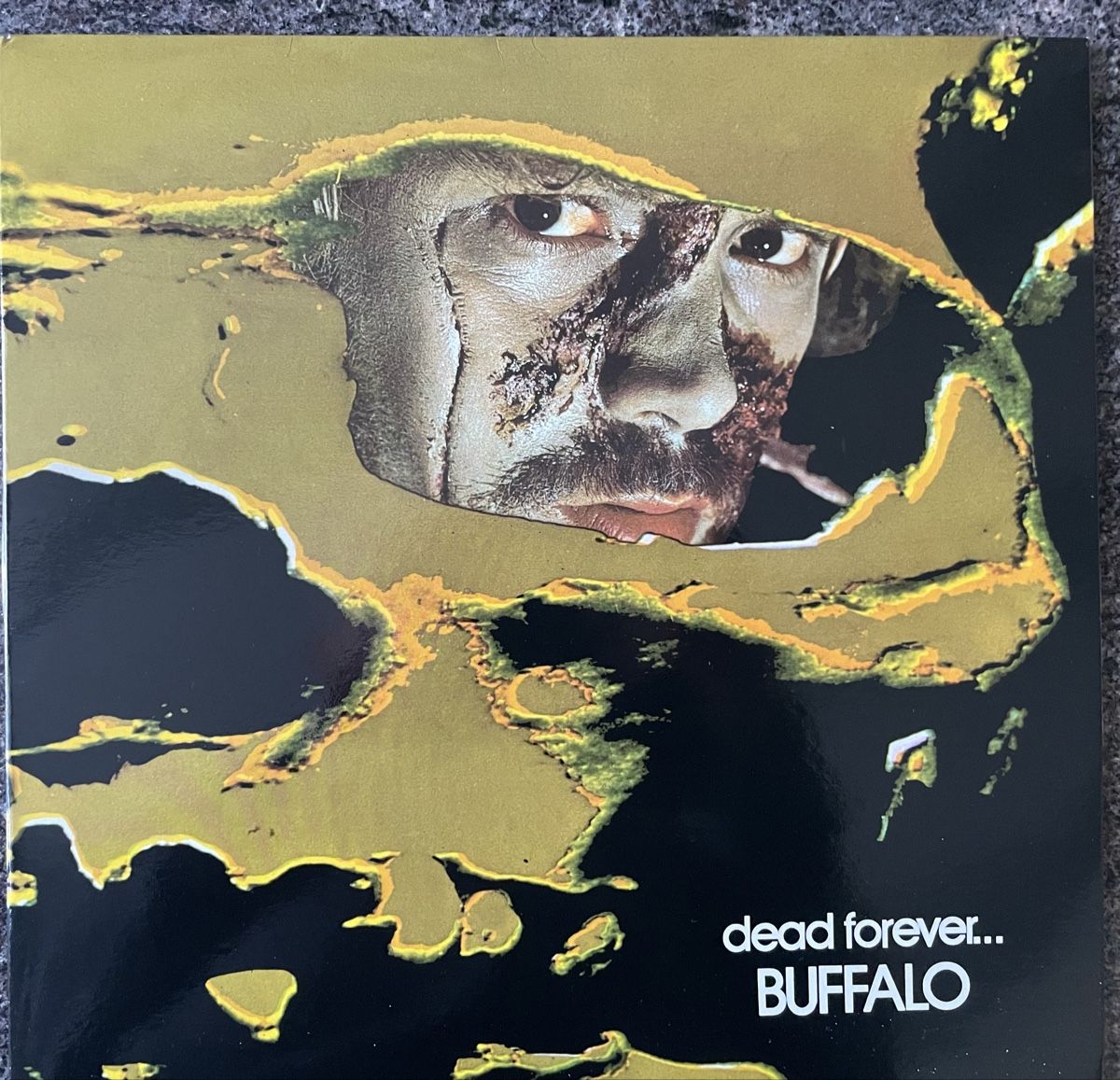 Vinyles: Buffalo - Dead Forever - AKARMA Vinyl LP – D'occasion à Olten par Bluespapst
