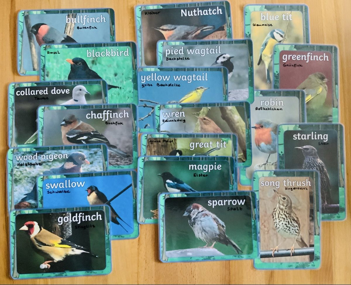 Spiele: Flashcards board signs educational bundle teaching resources – Gebraucht aus Lufingen von lotzstef 8