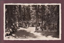 PONTRESINA - Waldkonzert