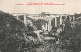 Bodensee toggenburg bahn zug bruggen