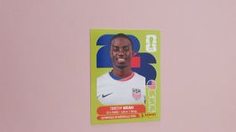 Panini Sticker WM 2026 - USA 12