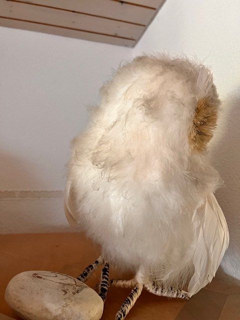 Alle Dekorationen: Eule mit weissen Federn – Gebraucht aus Walzenhausen von Jana013 1