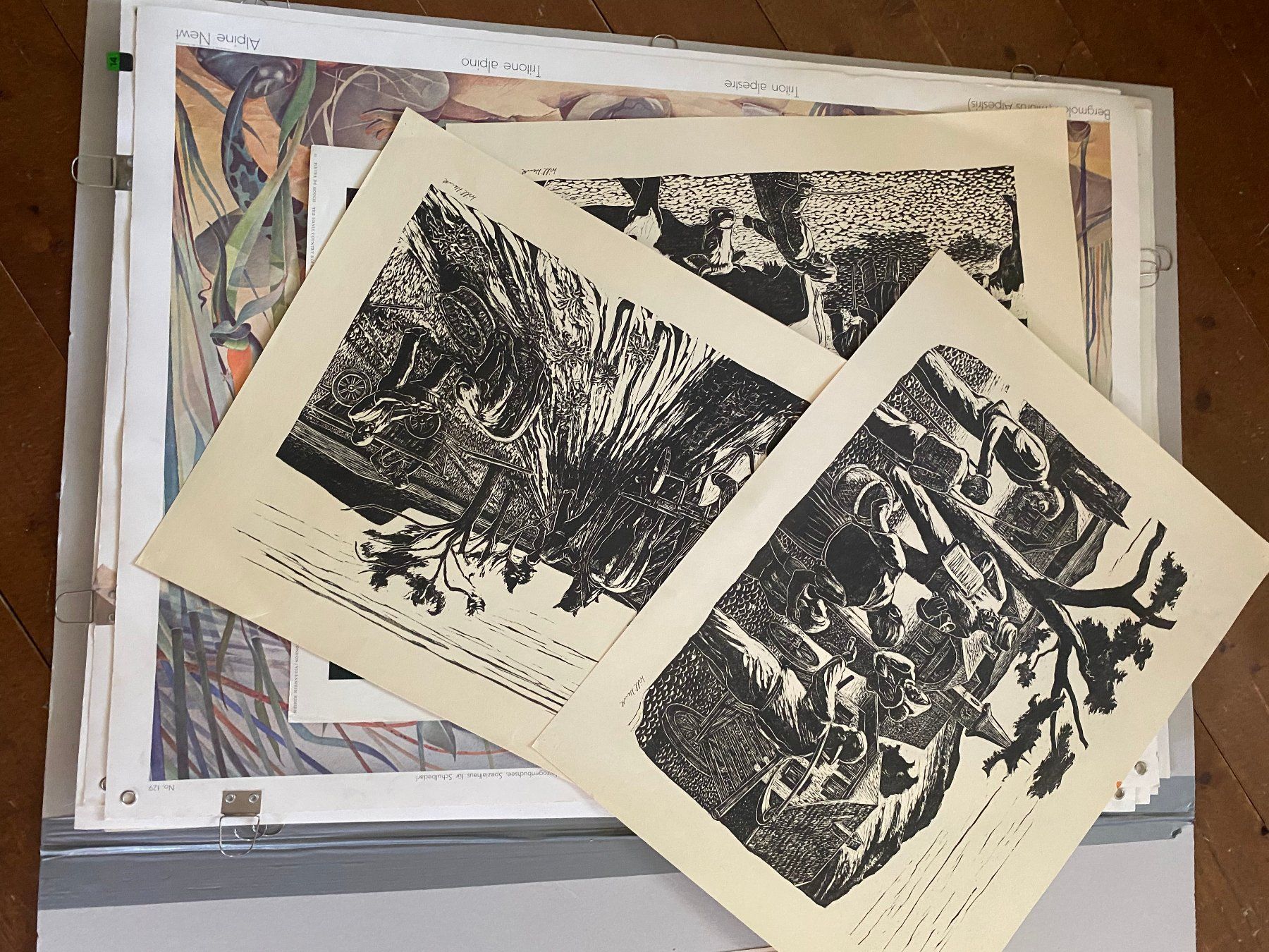 Posters & Illustrations: Diverse Schulwandbilder und Kunstdrucke – D'occasion à Bern par Huglimat 3