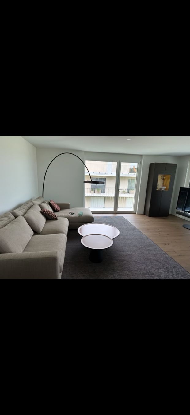Divani: LINTELOO Mauro Sofa – Usato da Reinach BL venduto da sas_ygr8
