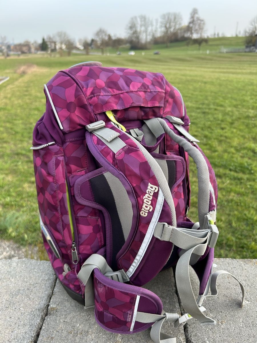 Ergobag Borse & Zaini: Ergobag Schulrucksack Top Zustand – Usato da Nänikon venduto da Mrzulu 3