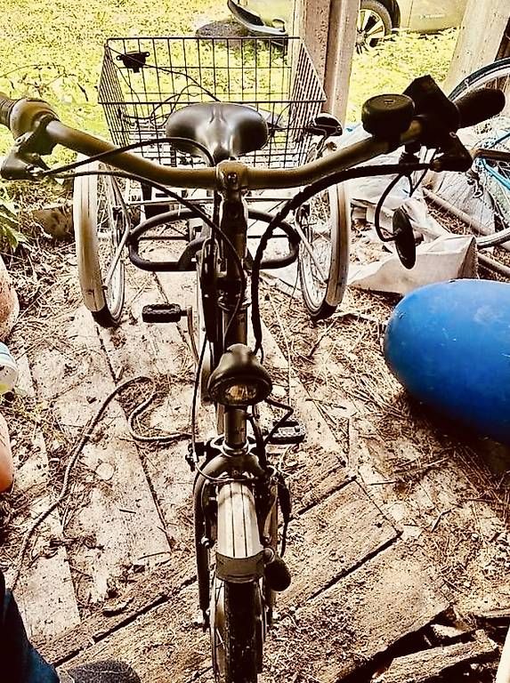Biciclette: Dreirad für Erwachsene – Usato da Oberdorf SO venduto da Lanzinger 3