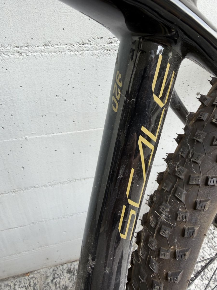Scott Vélos: Scott Scale 920, 2019, Carbon – D'occasion à Reinach BL par sam_99zy 1