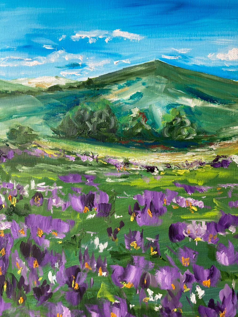 Dipinti: Berglandschaft mit Blumenwiese, Original Ölgemälde – Nuovo (secondo la descrizione) da Cham venduto da Felha 5