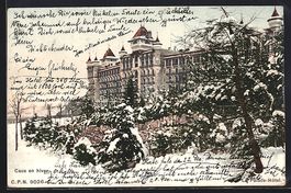 AK Caux, Le Palace-Hotel en hiver, 1905