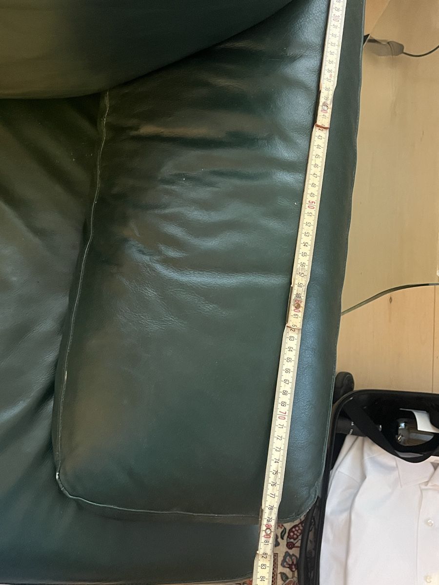 Divani: Echtleder Sofa Dunkelgrün – Usato da Wollerau venduto da sab_6j7r 2