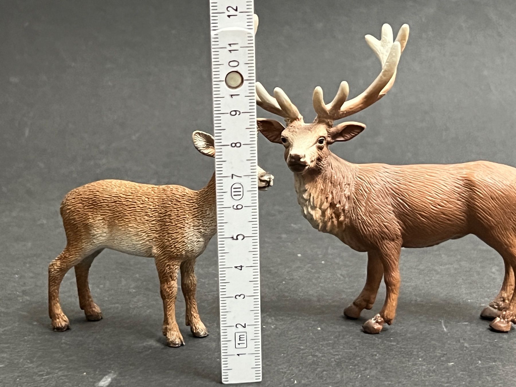Schleich Statuette: Schleich Rothirsch Hirsch Kuh – Usato da Ennetbaden venduto da mapa05 1