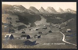AK Obertoggenburg, Heimetli, Panorama