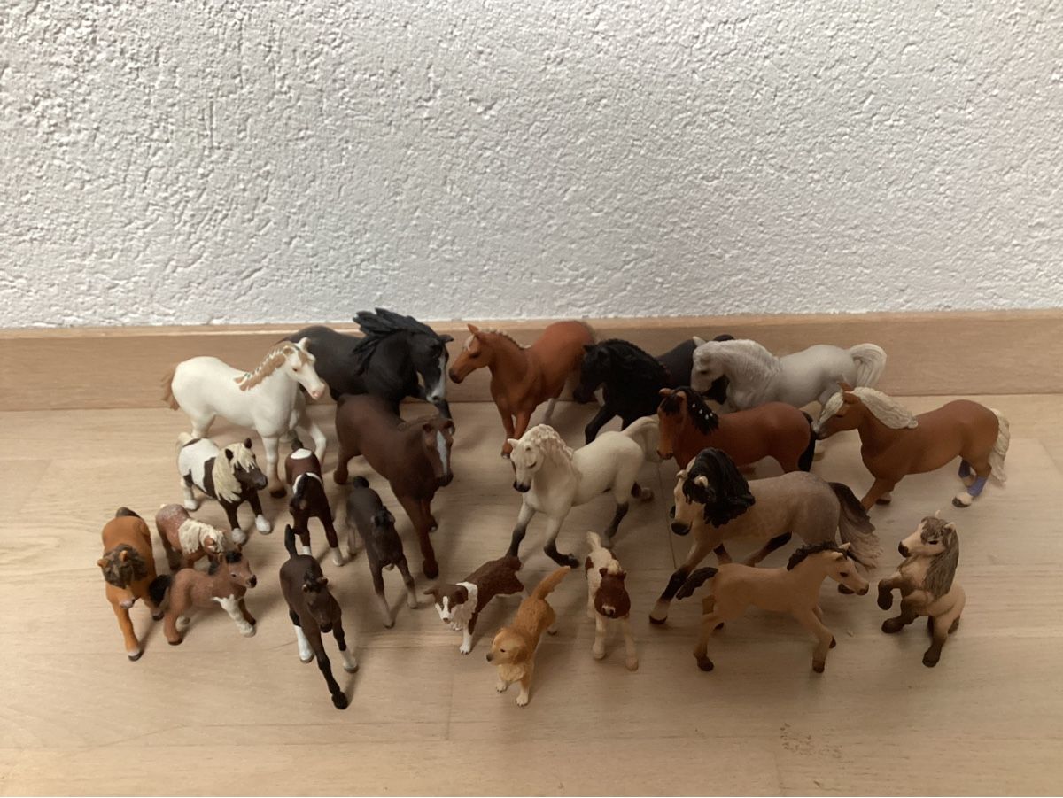 Schleich Giocattoli: Schleich – Usato da Ennetmoos venduto da Luzern3000 1