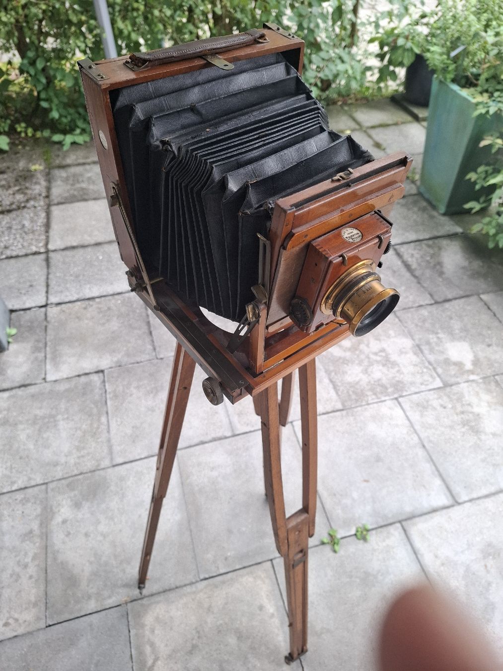 Fotocamera: Antike Thornton-Pickard Holz-Plattenkamera – Difettoso da Horw venduto da Supervannie 3