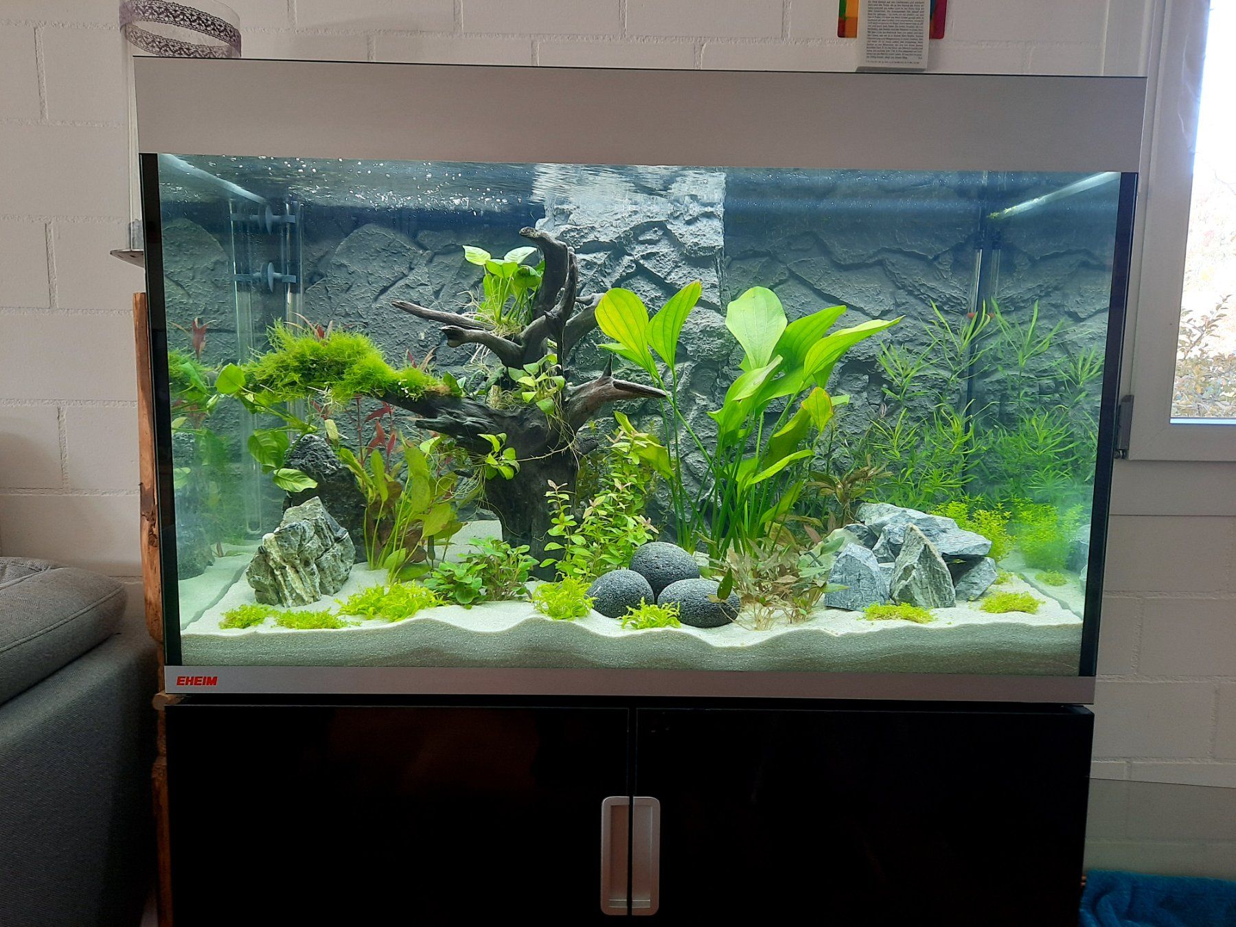 Eheim Aquarium: Aquarium EHEIM Incpiria 300 – Gebraucht aus Rämismühle von TrainClimb89 2