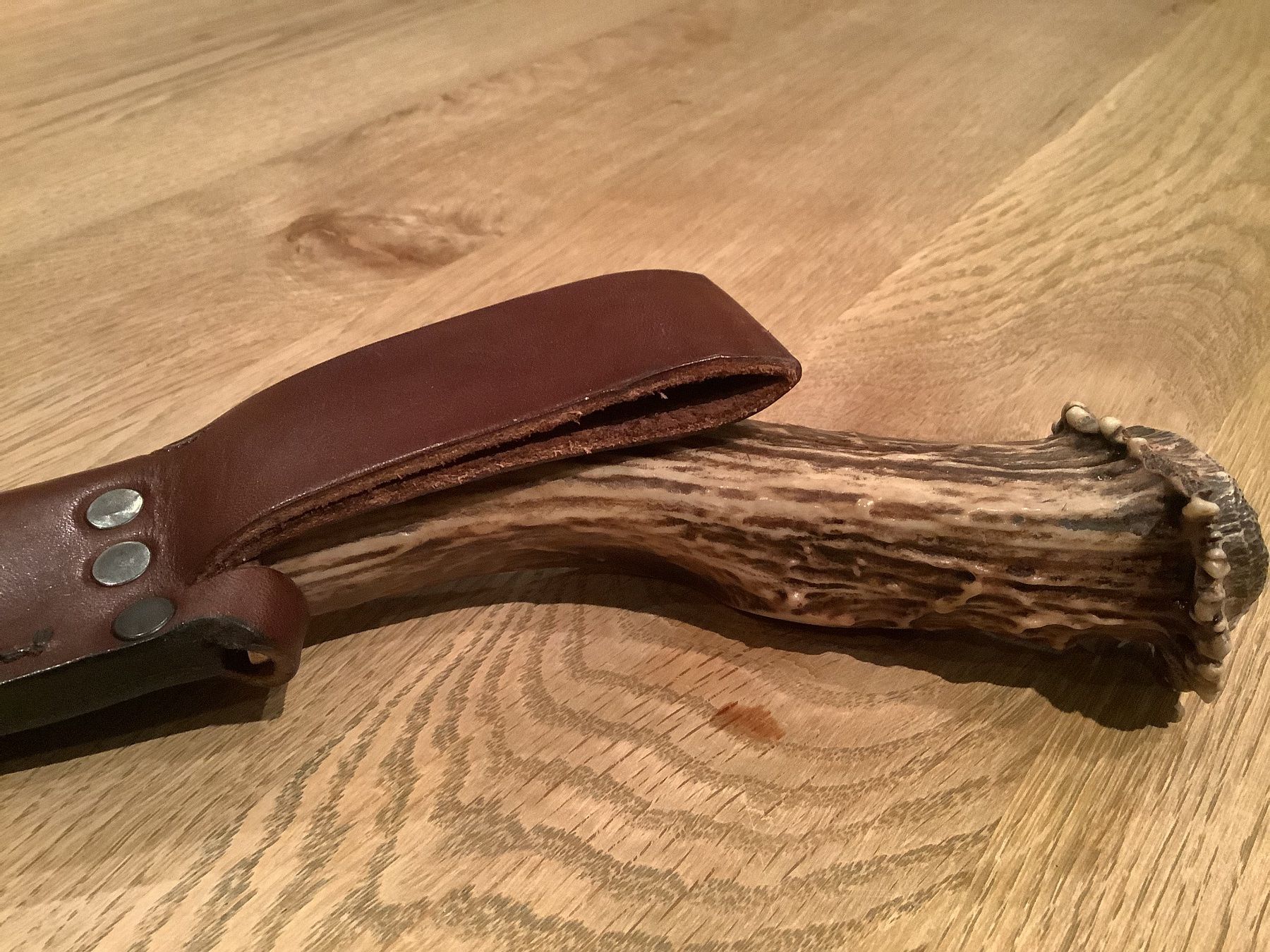 Accessoires: Jagdmesser mit Horngriff – Neuf (Voir description) à Mägenwil par Extra04 4