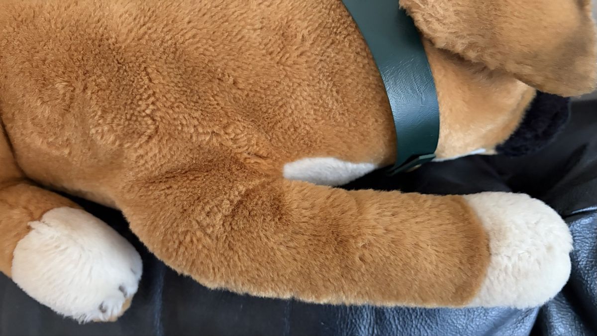 Steiff Jouets: Von Steiff Hund Bobby  – D'occasion à Hochfelden par larson27 6