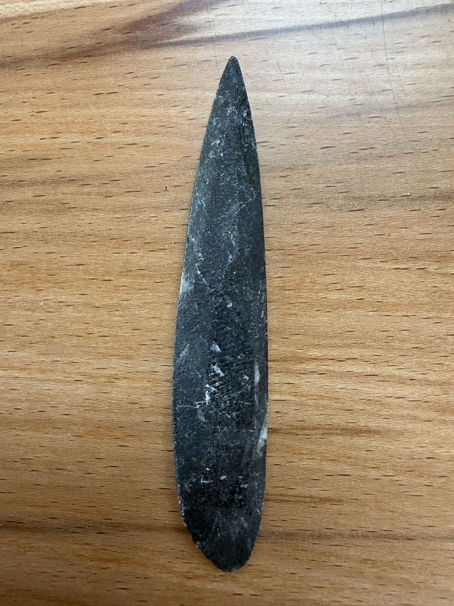 Fossili: Orthoceras-Kopffüsser – Usato da Grenchen venduto da Bastet007 2