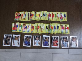 190 Paninibilder 2026, keine doppelten