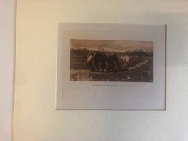 ARATURA IN ENGADINA  (di G. Segantini )