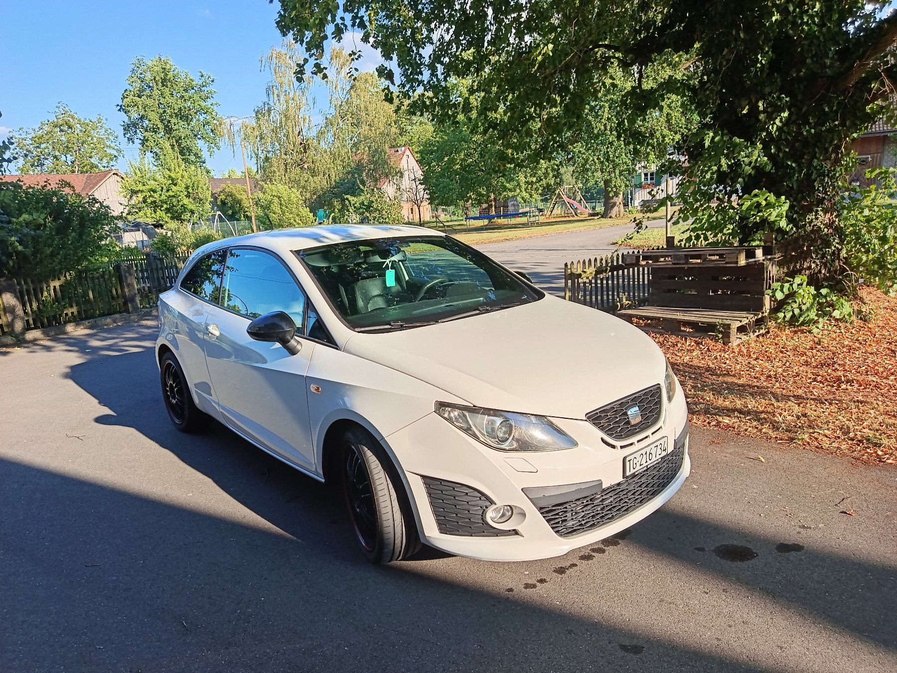 Seat Automobili: Seat Ibiza Cupra – Usato da Egnach venduto da madmax015 1