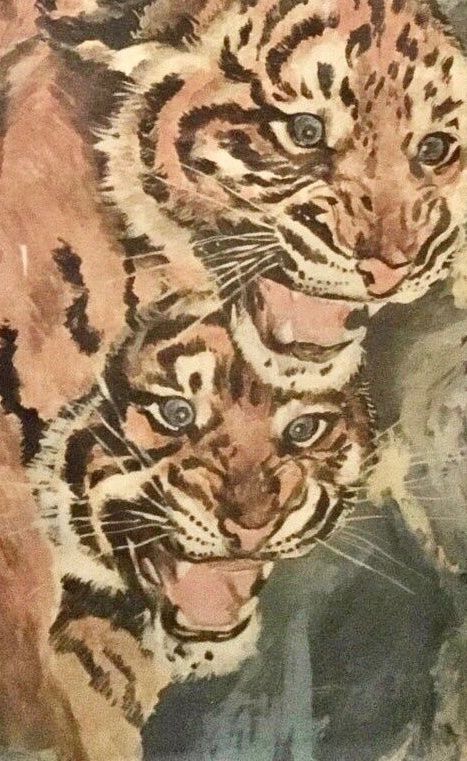 Foto & Immagini: Vintage Tigerbild – Usato da Schlieren venduto da Jeajet 2