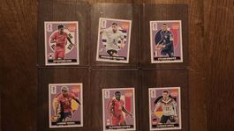 Panini FIFA WM 2026 EXTRA Sticker 6 Stück Pink/Base