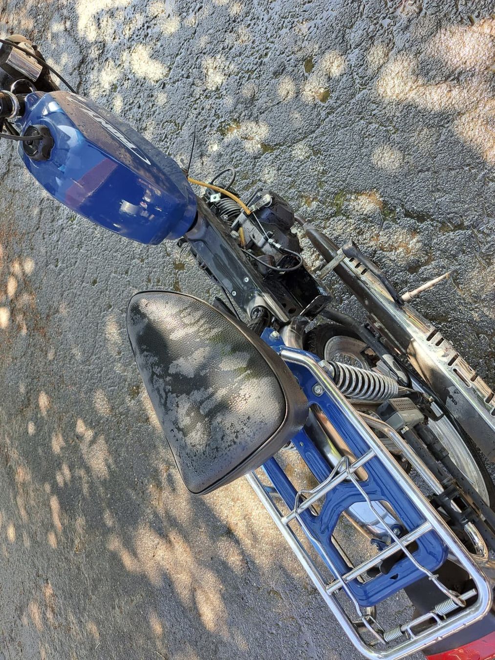 Pony Ciclomotori: Pony Gtx – Difettoso da Gelfingen venduto da Hase03 2