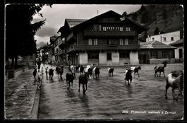 AK Zermatt, Promenade matinale
