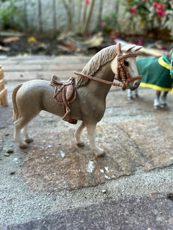  Schleich Pferde inkl. Zubehör (Gebraucht) in Thalwil für CHF 35 – mit Motiv 
