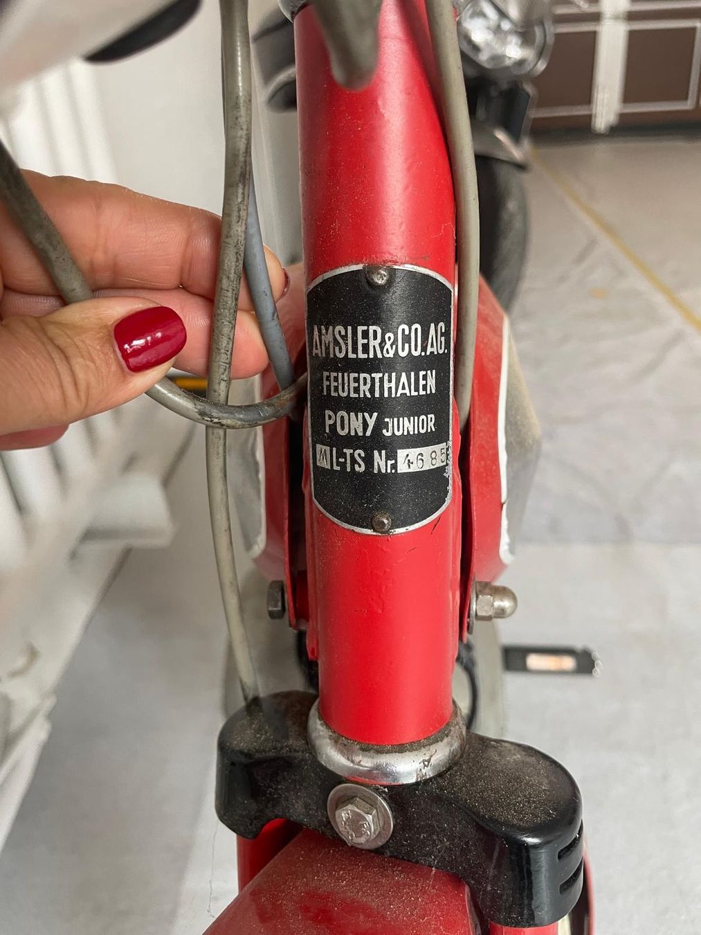 Pony Mofas: Töffli - Pony Junior M – Gebraucht aus Marthalen von yve_8drf 2